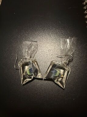 Novelty Clear Fishbowl Dangle Earrings